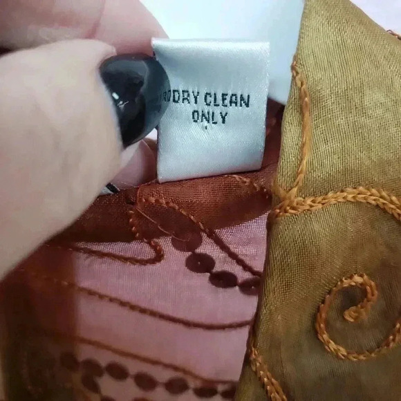 Vintage Chico's Design Sheer Fall Blouse with Silk Embroidery - Picture 4 of 5